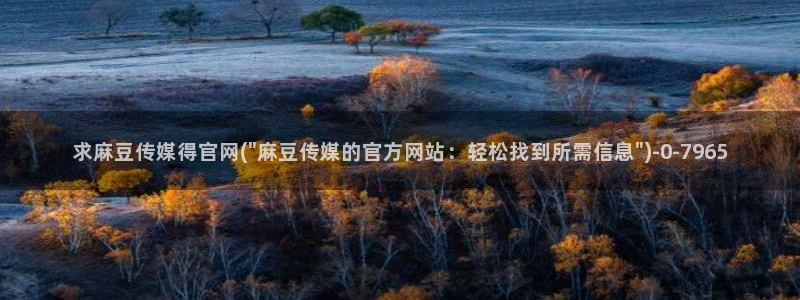 麻豆传媒官网a：求麻豆传媒得官网(\