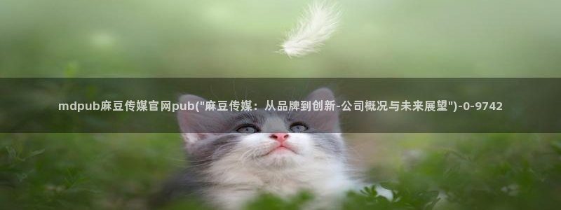 麻豆传媒直播官网福利