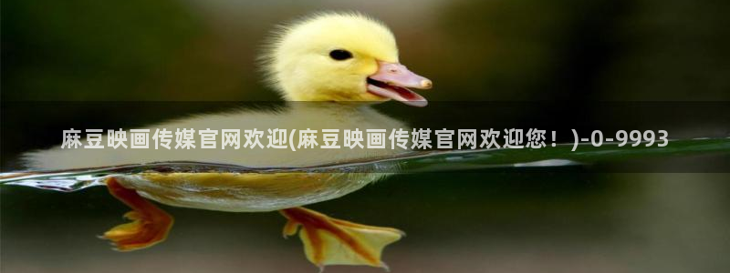 麻豆床传媒官网2021