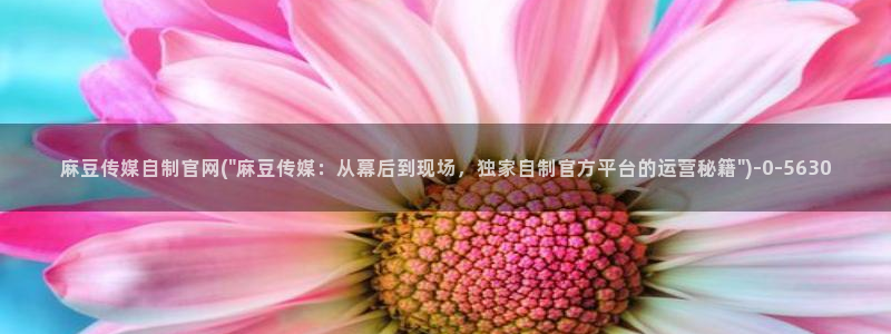 9麻豆传媒官网