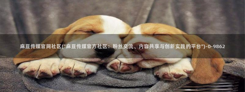 麻豆映像传媒官网
