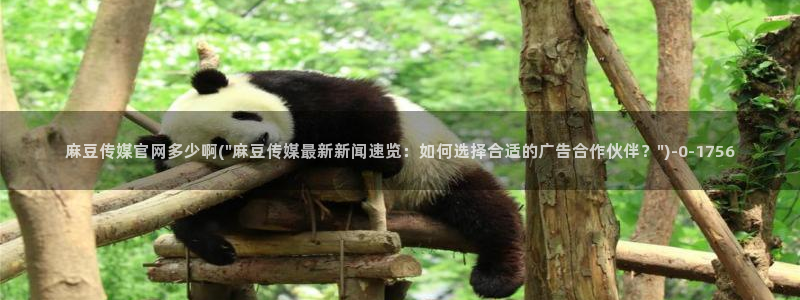 麻豆出传媒官网：麻豆传媒官网多少啊(\