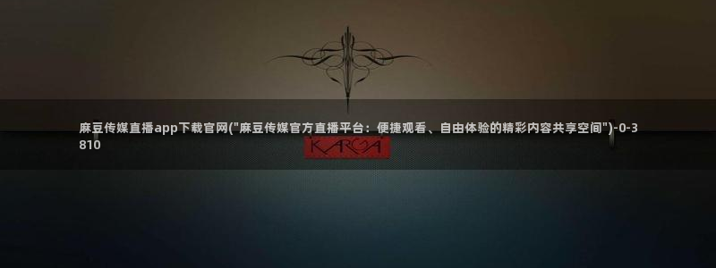 麻豆广播传媒官网