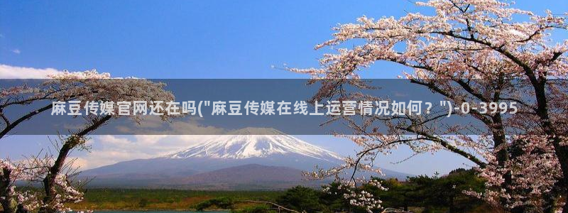 麻豆传媒播官网：麻豆传媒官网还在吗(\