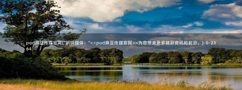 麻豆自制传媒官网多少
