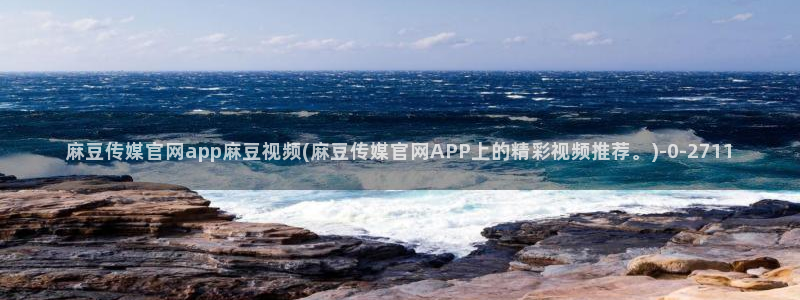 麻豆i传媒官网
