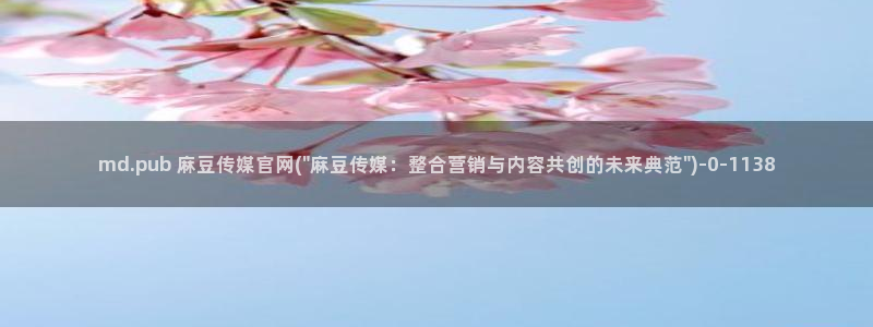 麻豆传媒文化官网