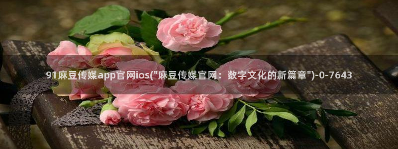 麻豆传媒官网软件